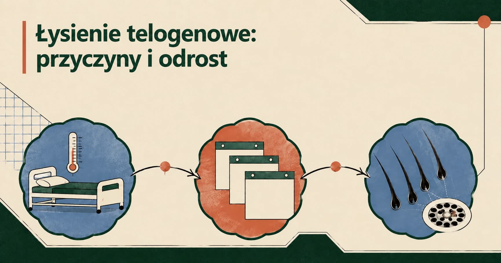 Łysienie telogenowe: przyczyny, czas trwania i odrost