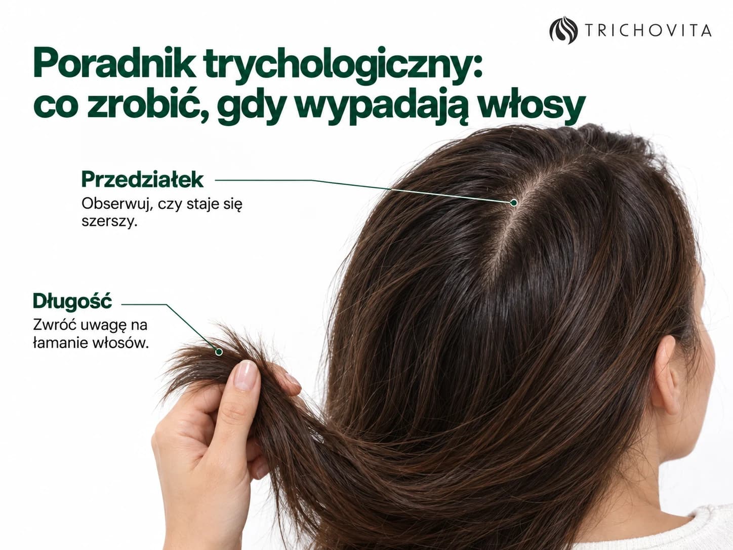Poradnik trychologiczny: co zrobić, gdy wypadają włosy