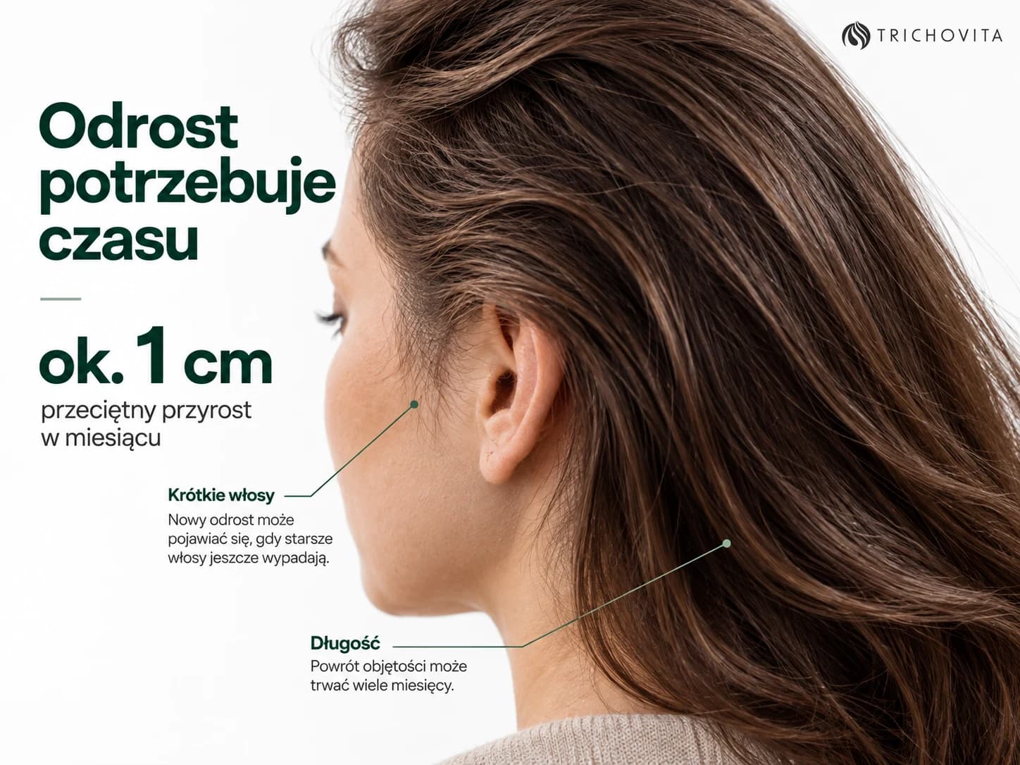 Zbliżenie krótkich włosów przy skroni oraz długości włosów z informacją o przeciętnym tempie wzrostu