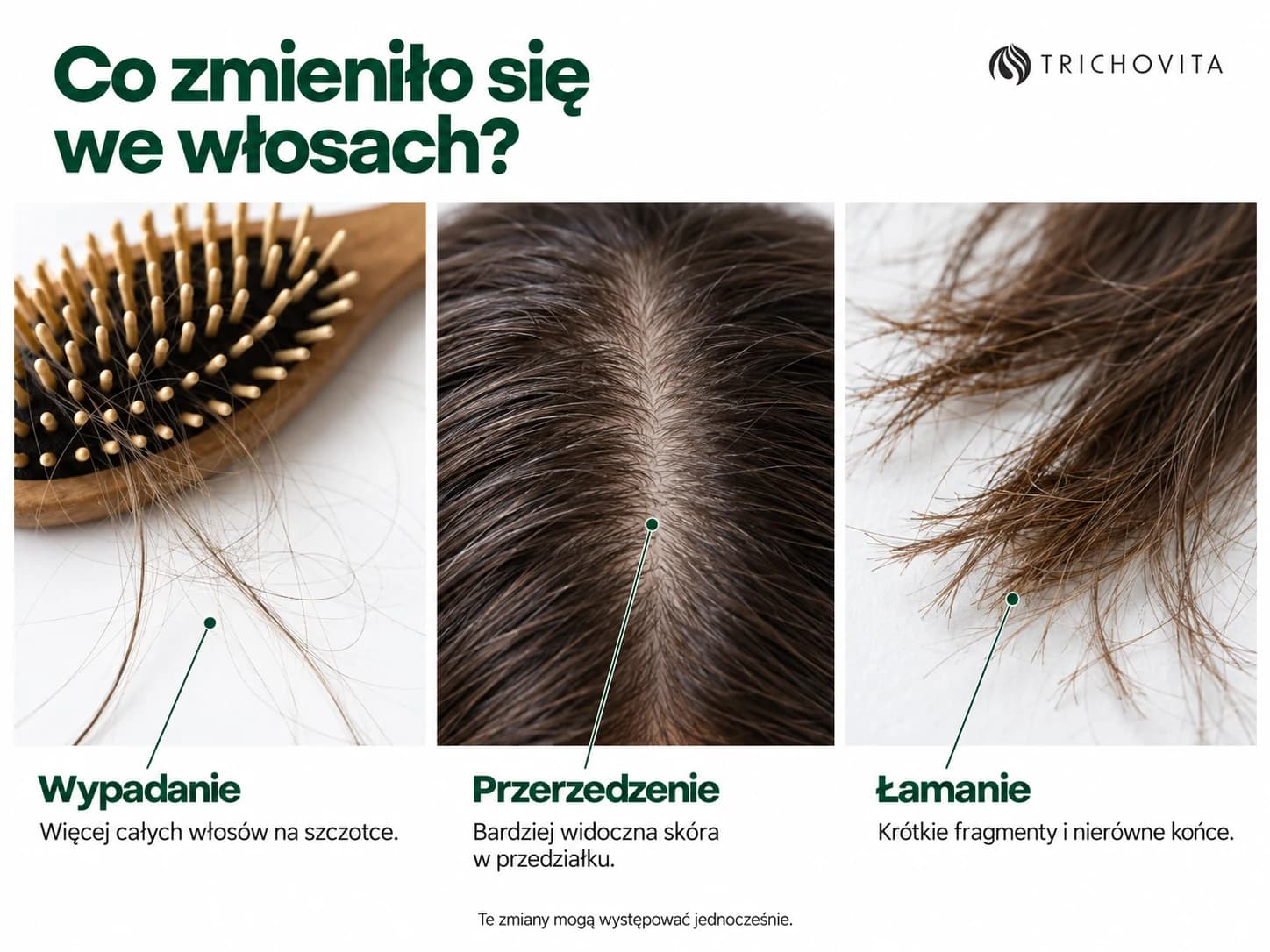Trzy fotograficzne detale: włosy na szczotce, szerszy przedziałek oraz krótkie, nierówne końce